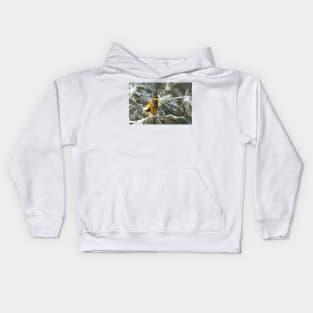 Evening Grosbeak - Algonquin Park Kids Hoodie